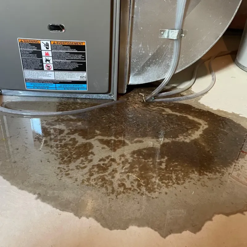 Appliance Leak Cleanup in Wetumpka, AL